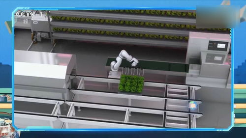 未来已来 全智能化植物工厂与楼宇智能工程的完美融合